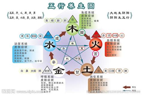 金多水濁|五行的詳解（相生相剋，反生反克及五行之性）